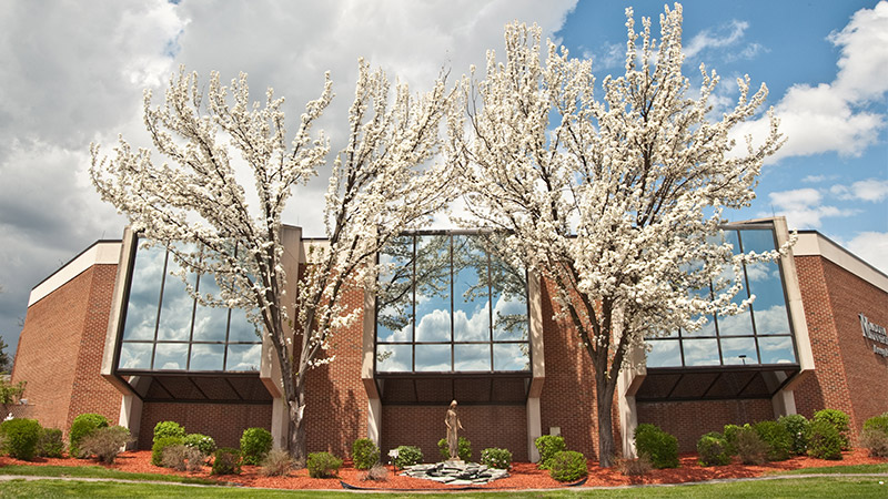 Outdoor image of the library with blooming trees